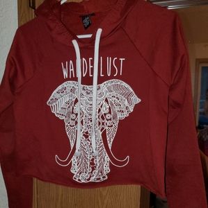 Maroon Cropped sweater